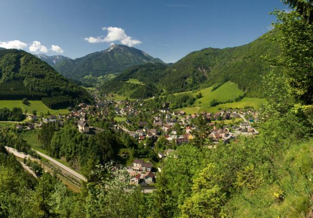 Apartament Ferienhof Schelchen Hollenstein an der Ybbs Zewnętrze zdjęcie