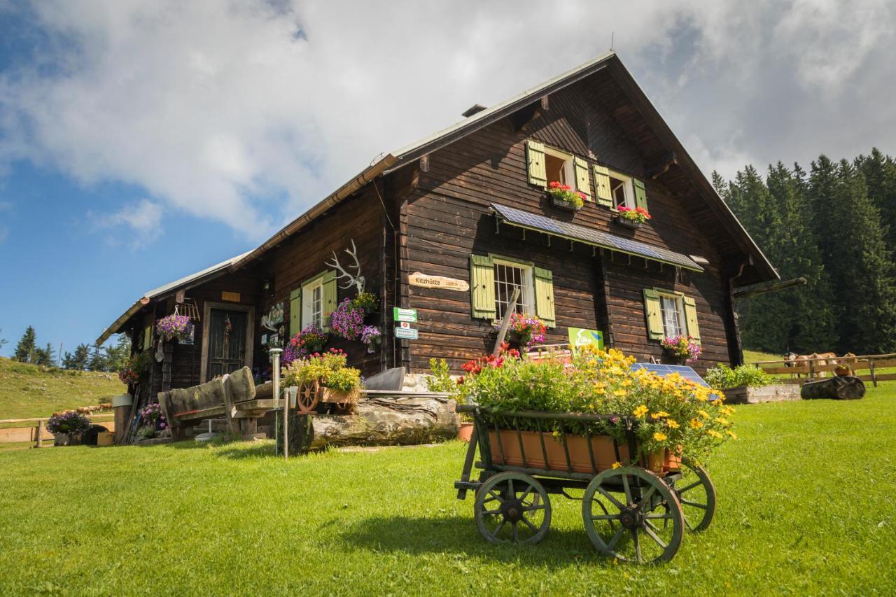 Apartament Ferienhof Schelchen Hollenstein an der Ybbs Zewnętrze zdjęcie